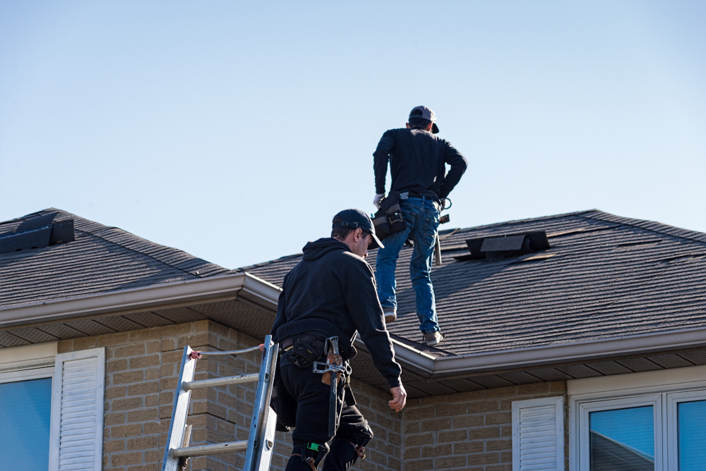 Roof Replacement